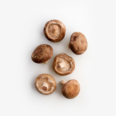 Extrait de Shiitaké Japonais